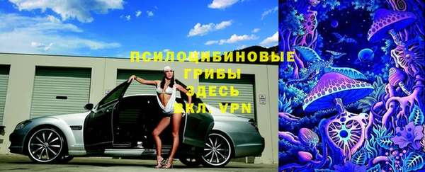 mdpv Богородицк