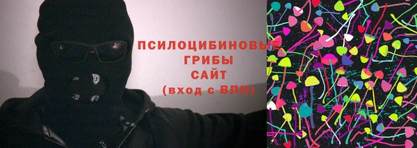 mdpv Богородицк